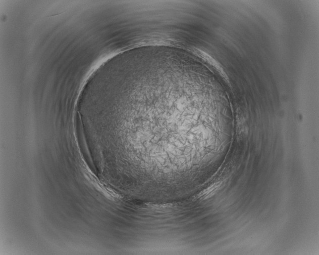 X0000071811035200607141605