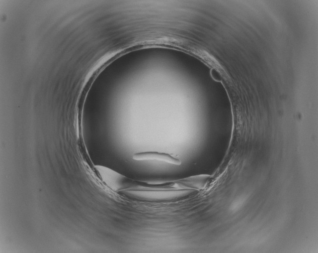 X0000071811036200607141605