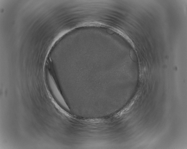 X0000071811037200607141605