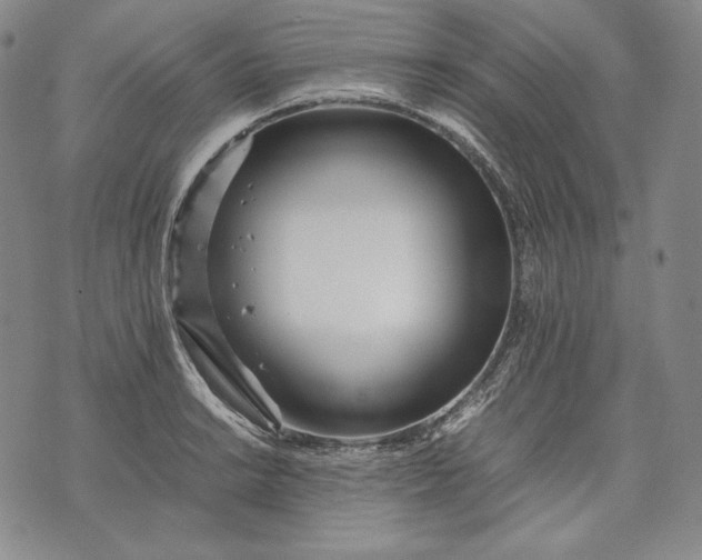 X0000071811038200607141605