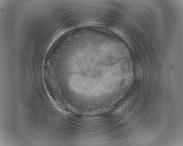 X0000071811039200607141605