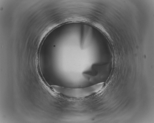 X0000071811040200607141605