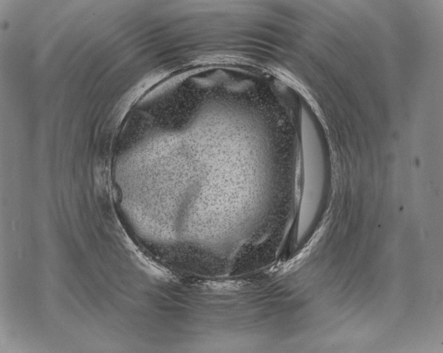 X0000071811041200607141605