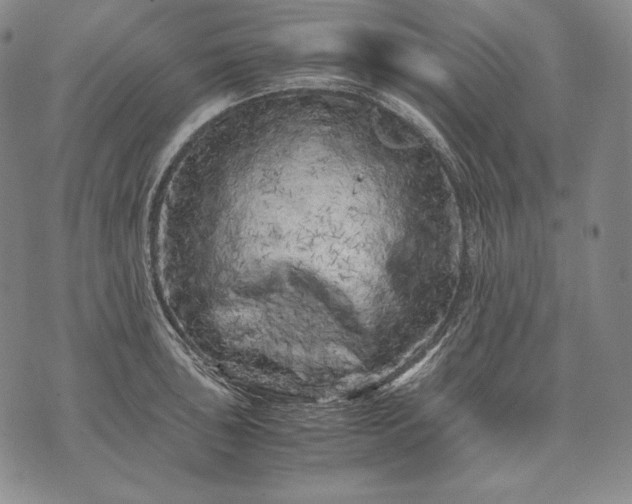 X0000071811043200607141605