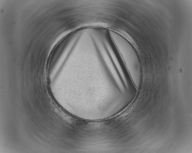 X0000071811044200607141605