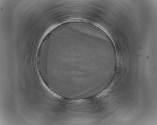 X0000071811045200607141605