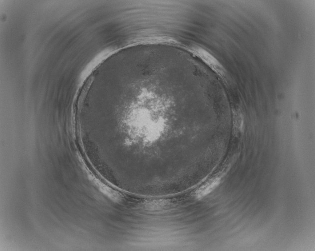 X0000071811046200607141605