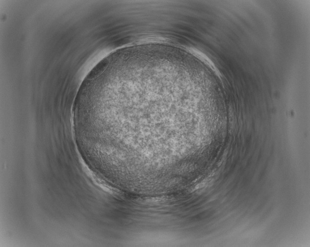 X0000071811047200607141605