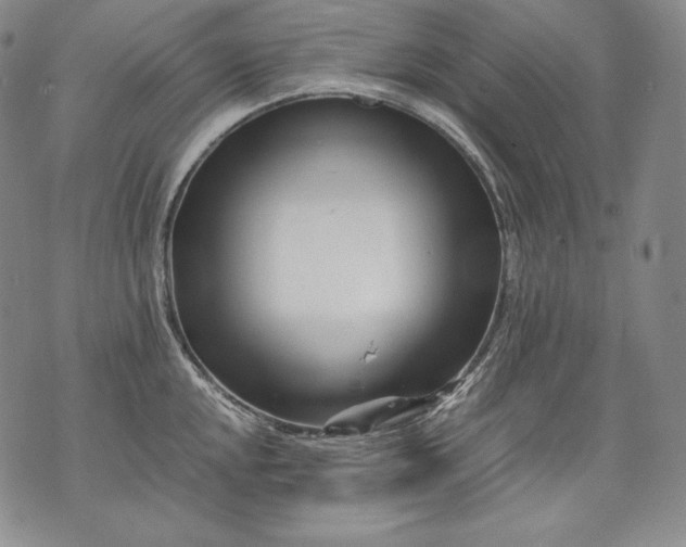 X0000071811048200607141605