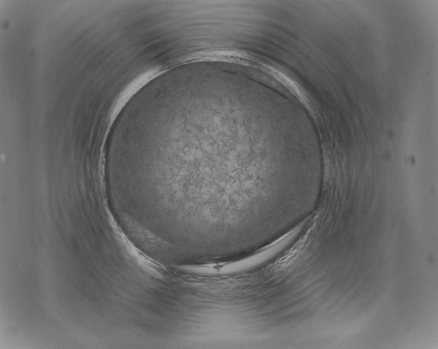 X0000071811050200607141605