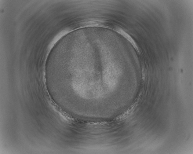 X0000071811051200607141605