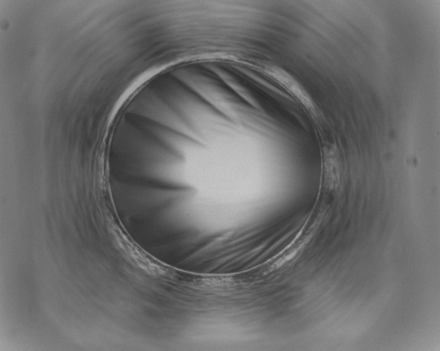 X0000071811052200607141605