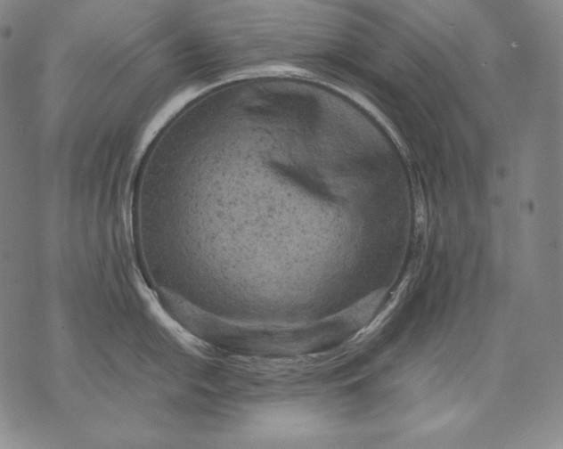 X0000071811054200607141605