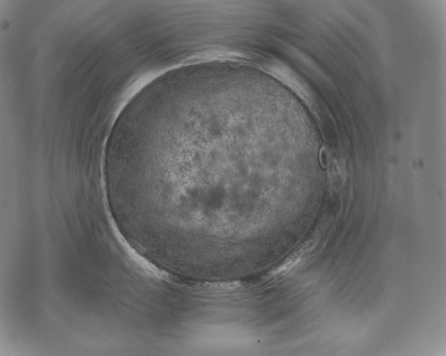 X0000071811055200607141605