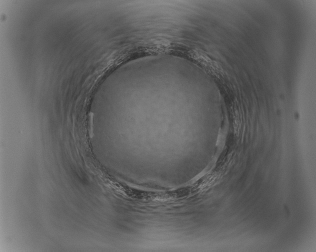 X0000071811057200607141605