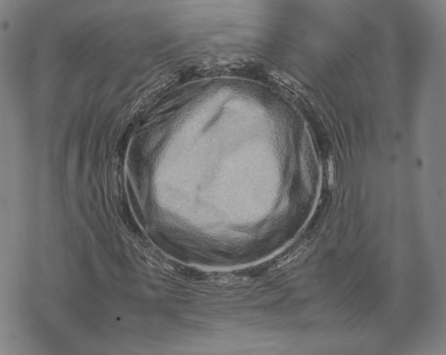 X0000071811059200607141605