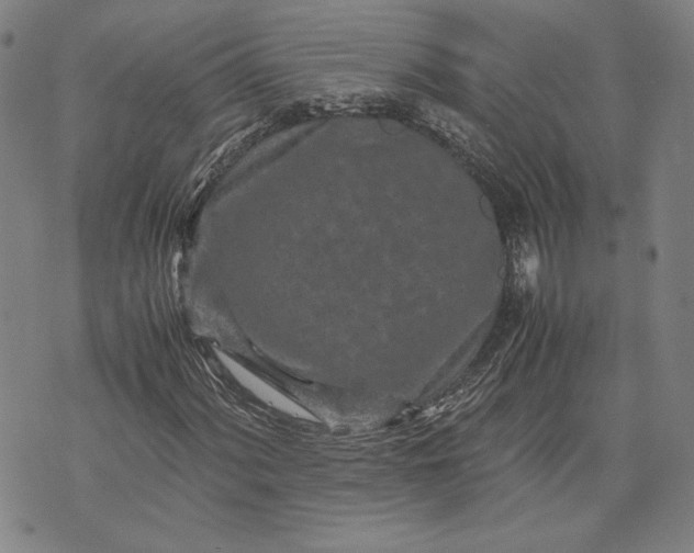 X0000071811060200607141605