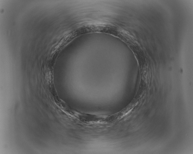 X0000071811061200607141605