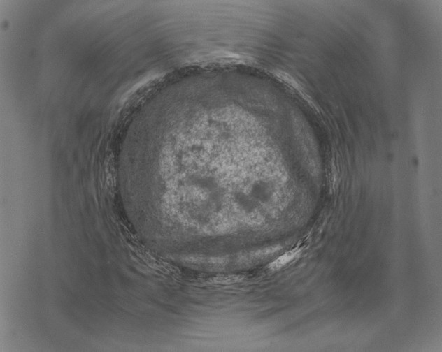 X0000071811063200607141605