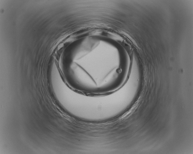 X0000071811065200607141605