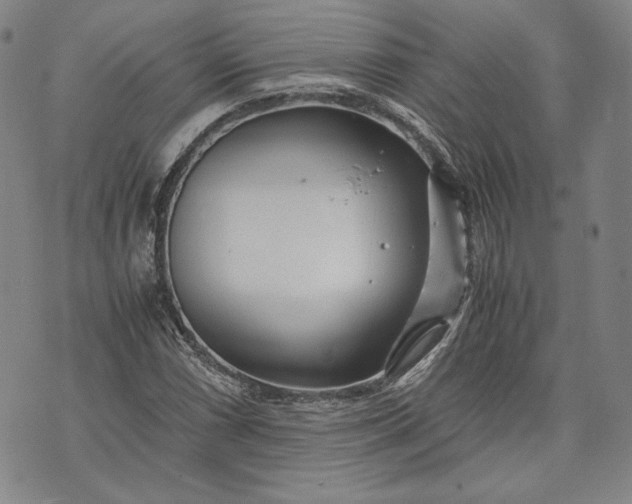 X0000071811066200607141605