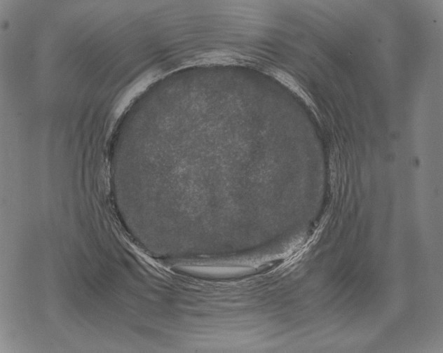 X0000071811067200607141605