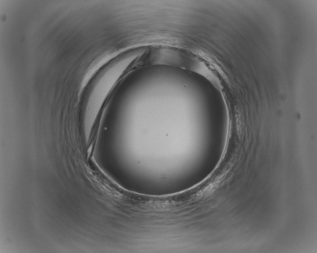 X0000071811069200607141604