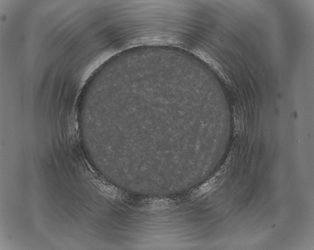 X0000071811070200607141604