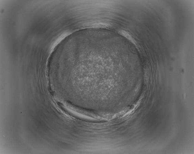 X0000071811071200607141604