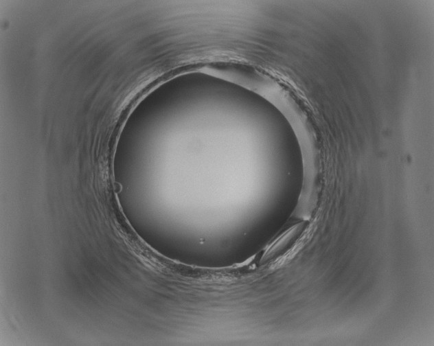 X0000071811073200607141604