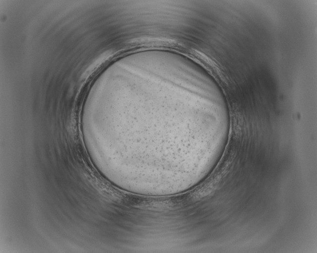 X0000071811074200607141604