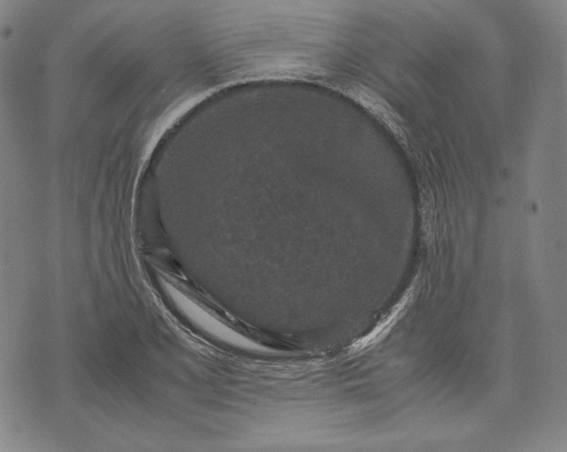 X0000071811077200607141604