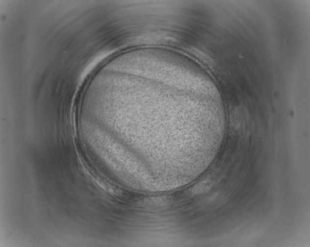 X0000071811078200607141604