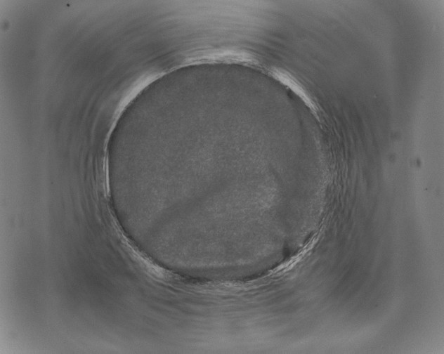 X0000071811079200607141604