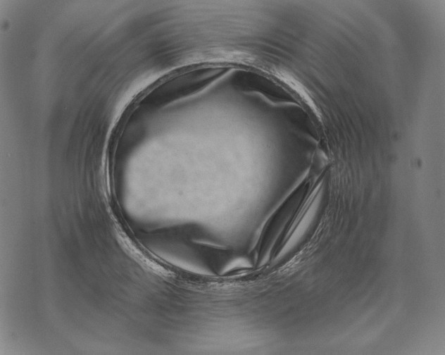 X0000071811080200607141604