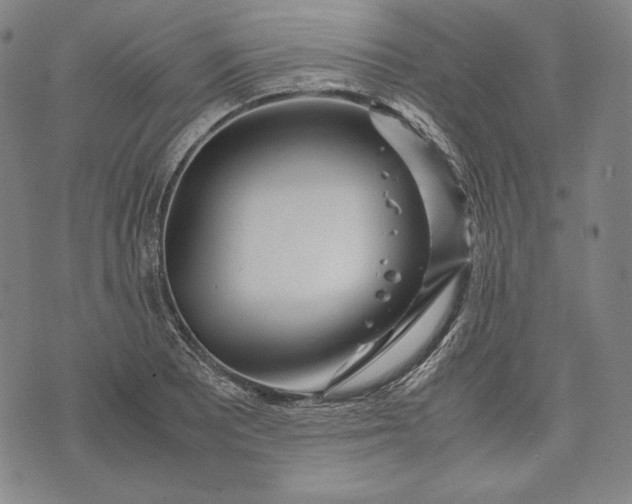 X0000071811081200607141604