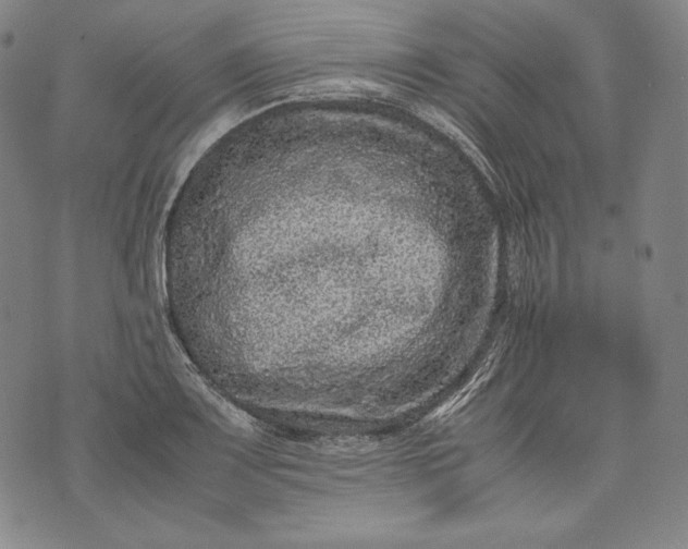 X0000071811083200607141604