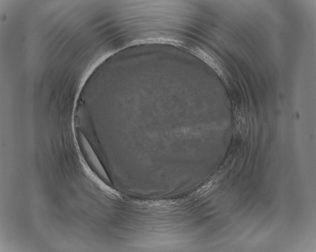 X0000071811084200607141604