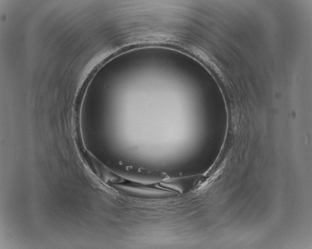 X0000071811085200607141604