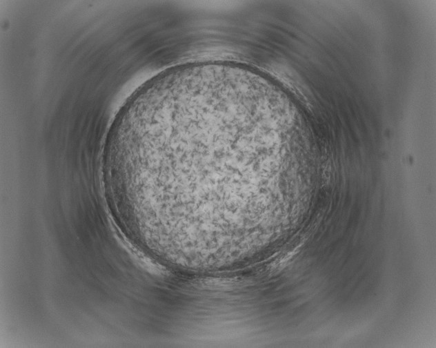 X0000071811086200607141604