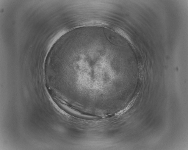 X0000071811087200607141604