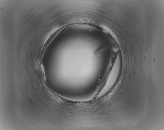 X0000071811089200607141604