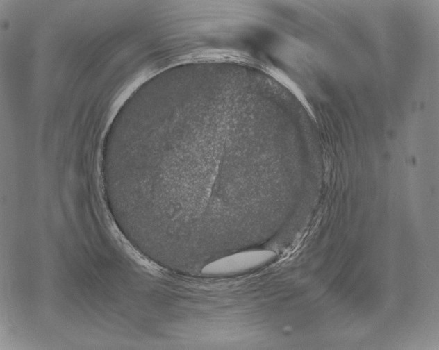 X0000071811091200607141604