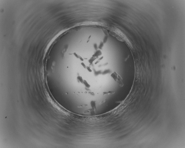 X0000071811092200607141604