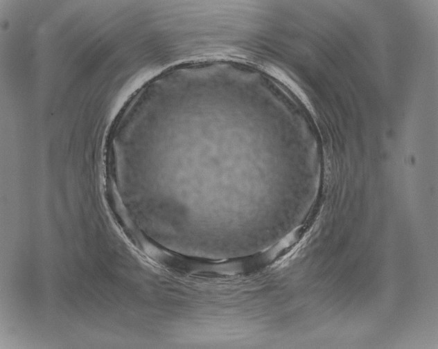 X0000071811093200607141604