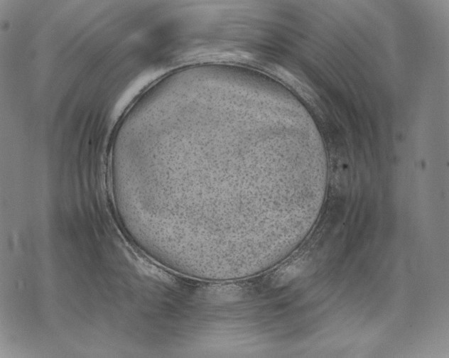 X0000071811094200607141604