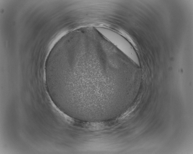 X0000071811095200607141604