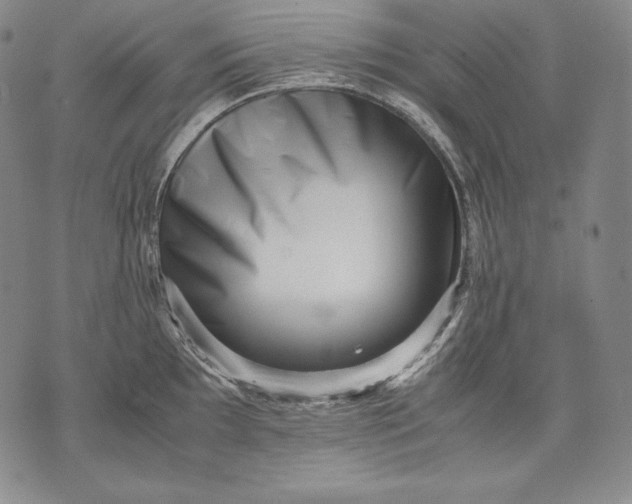 X0000071811097200607141604