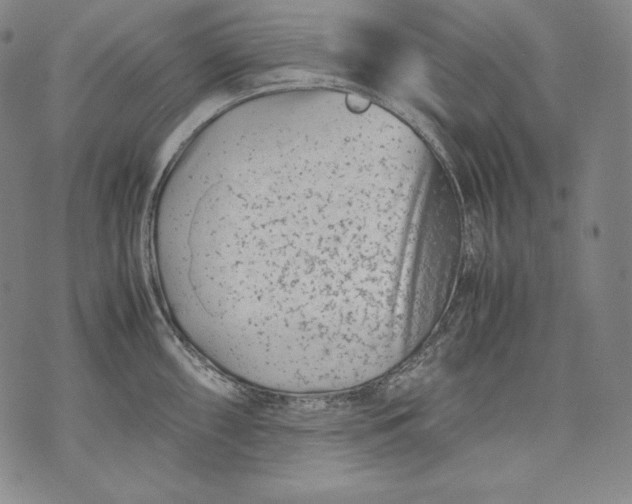 X0000071811098200607141604