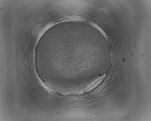 X0000071811099200607141604